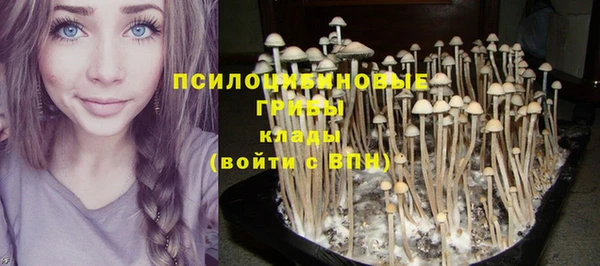 стаф Вязники